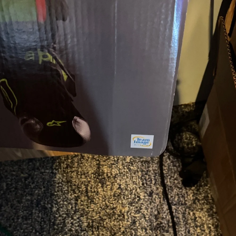 Danica Patrick life size cardboard cut out - Picture 11 of 12